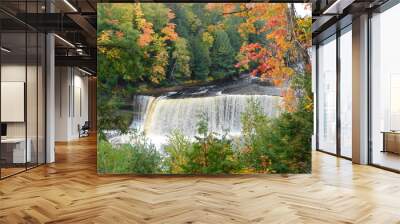 The first changes of fall are visible against a mostly green forest and Michigan's Tahquamenon Falls Wall mural