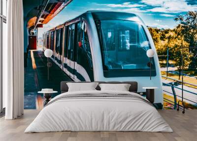 Monorail fast train on railway Wall mural