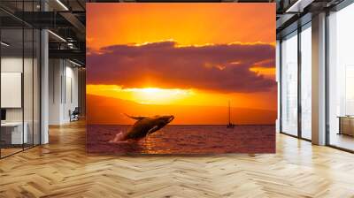 Humpback Whale Breach at Sunset Wall mural