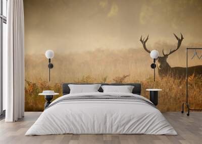 Red deer stag silhouette in the mist Wall mural