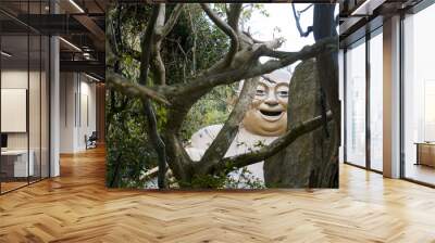 Portrait of a Chinese god statue stone in rain tropical forest - China, Hainan Wall mural