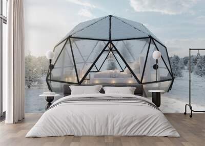 3d rendering of geodesic dome hut with glass panels in the morning light Wall mural