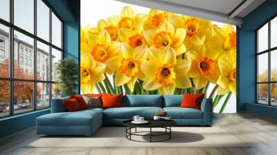 A Bouquet of Bright Yellow Daffodils with Orange Centers, Close-up, White Background, Spring Flowers, daffodils, yellow flowers, springtime Wall mural