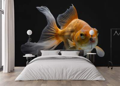 Generative AI. Most beautiful an orange color fantail goldfish Wall mural