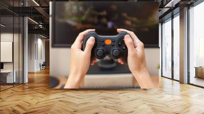 Playing video game with gamepad, close-up. Wall mural