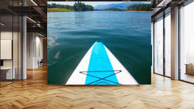 A paddle board floating on a beautiful mountain lake in Montana. Point of view photo of a scenic natural background Wall mural