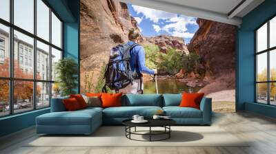 Rear view of a Woman hiking to a waterfall in a red rock canyon Wall mural