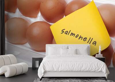 eggs can carry salmonella concept Wall mural