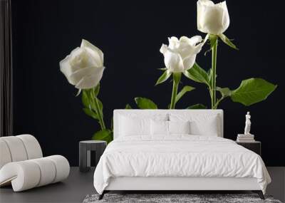 Three white rose Wall mural