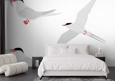 Set of Arctic tern bird. Sterna paradisaea isolated on white background. Seabird is flying, standing and eating fish. Vector illustration. Wall mural