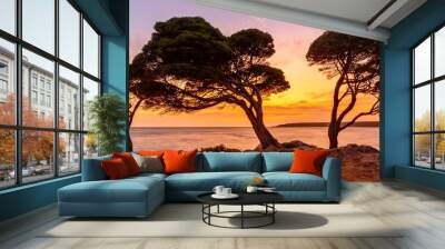 Bunker Bay Western Australia at sunrise Wall mural