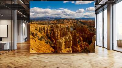 canyon panorama Wall mural