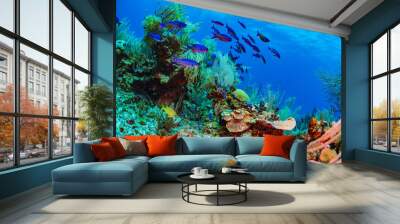 coral reef with fish Wall mural