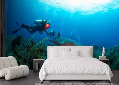 scuba divers with a nurse shark  Wall mural