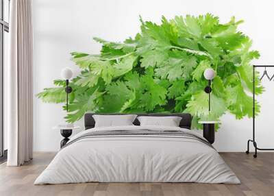 fresh leaves of cilantro Wall mural