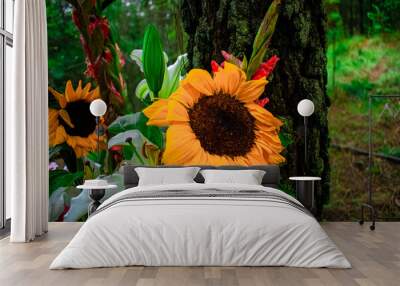 girasoles,  Wall mural