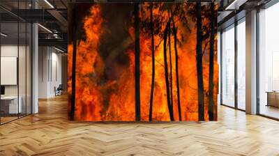 Forest Fire with higher flames. Wall mural