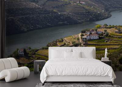 UNESCO World Heritage, the Douro Valley beautiful endless lines of Vineyards, in Peso da Regua, Vila Real, Portugal. Wall mural