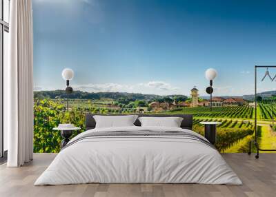 Vineyard of a farm at southern Brazil, Bento Gonçalves, with green grape trees in a valley above a full sun and shiny day Wall mural