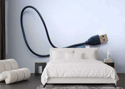 USB to mini-USB black cable on a white background Wall mural