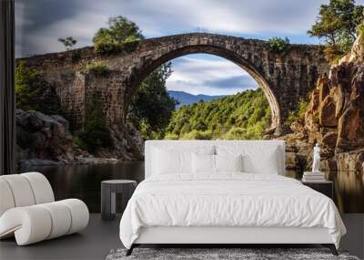 Ancient Roman bridge. Spain. Avila Wall mural