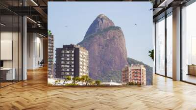 hill of the brothers seen from the lagoon rodrigo de Freitas Wall mural