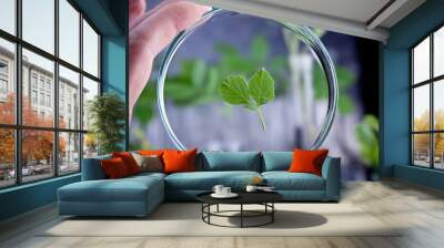 plant sample Wall mural