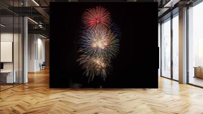 Fireworks Wall mural