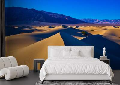 Desert country Wall mural