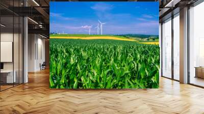 Midwest of America - Rural America in High  Summer. Iowa, Wisconsin, Illinois, Ohio, Minnesota Wall mural