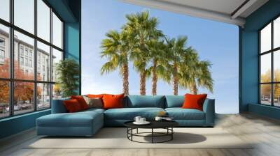 group of palm trees Wall mural