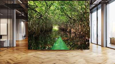 Rowing in Mangrove forest Wall mural