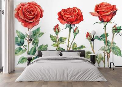 A watercolor illustration of red roses in various stages, showcasing their beauty and natural elegance. Wall mural