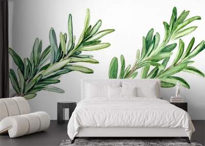 Two sprigs of green herbs, showcasing their leaves and natural texture. Wall mural