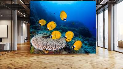 beautiful coral reef and butterflyfish photography in deep sea in scuba dive explore travel activity underwater with blue background landscape in andaman sea thailand Wall mural