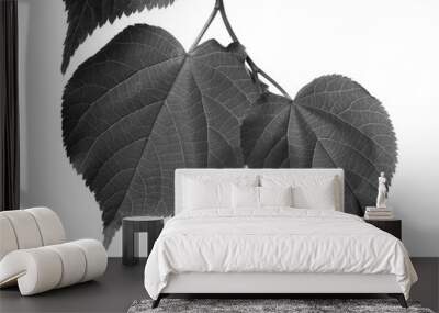 Black and white linden-tree leafs Wall mural