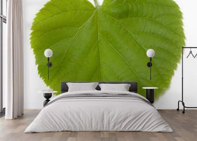 Green tilia leaf Wall mural