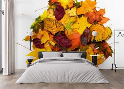 Pile of autumn multi colored leaves Wall mural