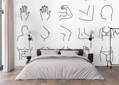 Human body parts linear icons set Wall mural