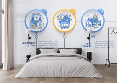 Hydrogen storing methods vector infographic template. Compressed gas presentation outline design elements. Data visualization with 3 steps. Process timeline info chart. Workflow layout with line icons Wall mural