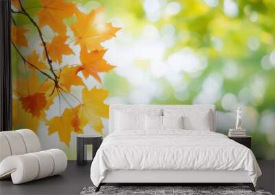 Autumn Leaves on Green Blurred Background Wall mural