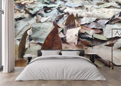 Piles of dry leaves that fall from trees to the ground can be used as compost. Wall mural