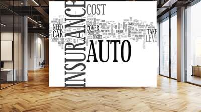 WHAT LEVEL OF AUTO INSURANCE DO YOU NEED TEXT WORD CLOUD CONCEPT Wall mural