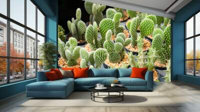 A Diverse Collection of Cacti and Succulents in a Nursery: Nature’s Array of Textures and Forms. Wall mural