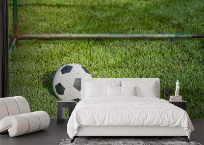 Football balloon on the green grass. Wall mural