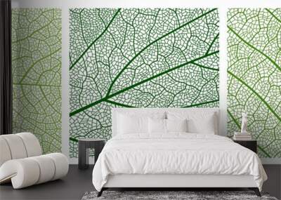 Close up green leaf texture pattern, leaf pattern background with veins and cells. Vector venation structure of tree plant foliage, abstract mosaic backdrop of birch or maple leaf surface Wall mural