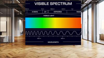 Visible spectrum light, Vector diagram, showing the range of electromagnetic wavelengths from violet to red, includes gamma rays, x-rays, uv, infrared and radio waves frequency scale in nanometers Wall mural