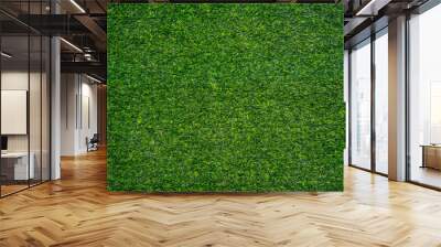 artificial grass background Wall mural