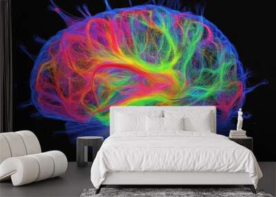 human brain's connectome and network dynamics Wall mural