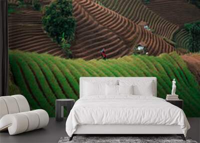 Green line pattern plantation landscape terracing of Argapura Majalengka Wall mural